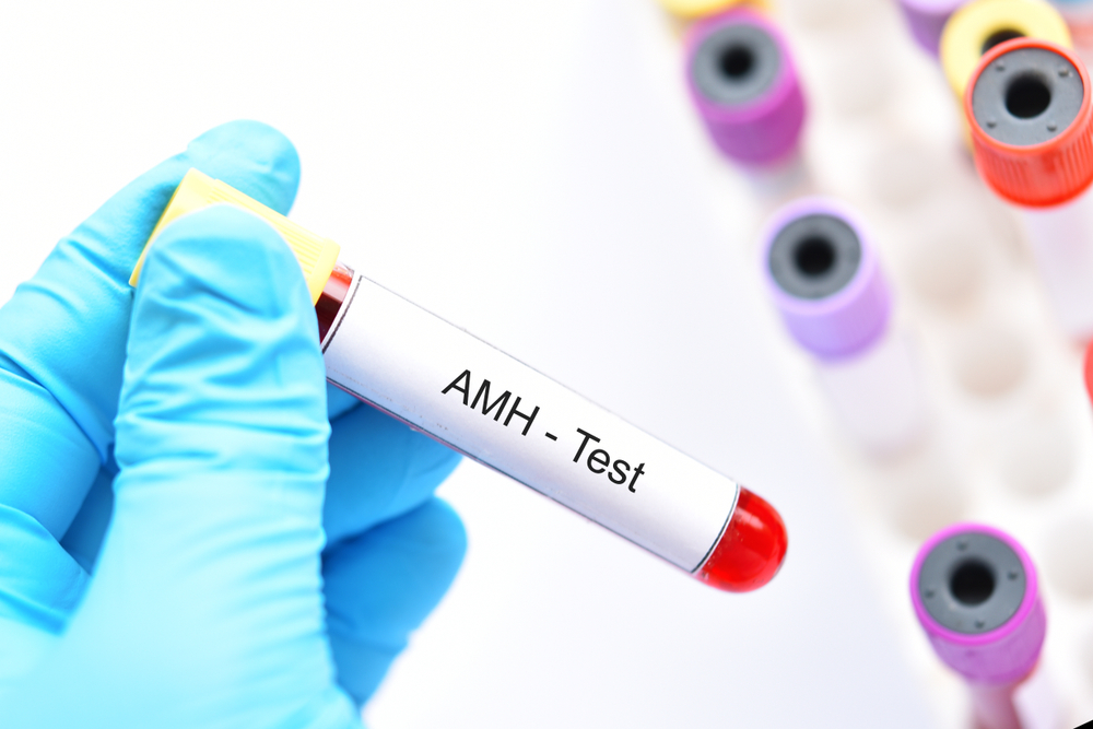 Know Your Numbers: Understanding AMH & Day 3 Test Results