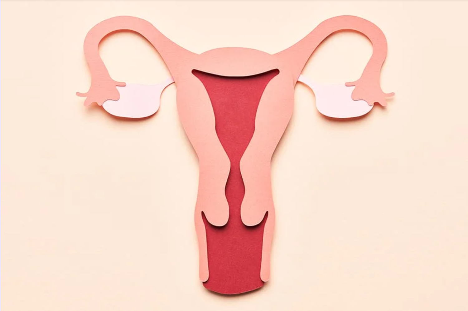Fibroids 101: Your Guide to Symptoms, Causes, and Treatments